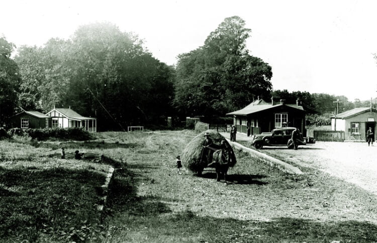 Vintage black and white photo of a rural scene with buildings, trees, and a horse-drawn cart.